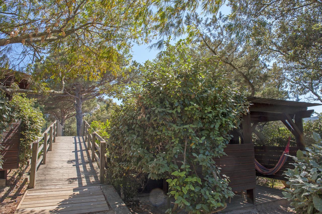 Residence Mobydick ポルトヴェッキオ エクステリア 写真